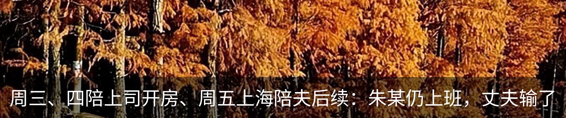 行业资讯