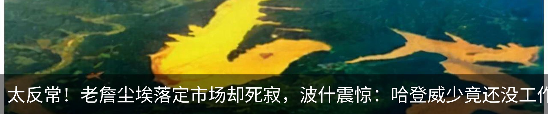 行业资讯